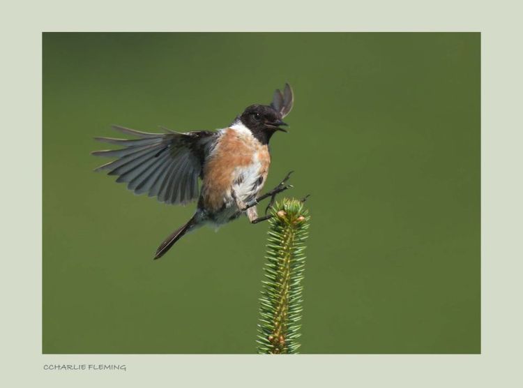 151970468.pKajRBzl 151970468.pKajRBzl