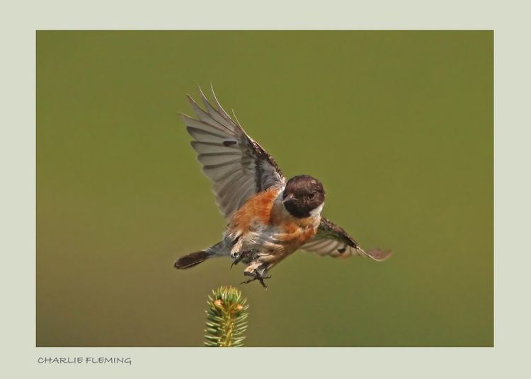 151970469.b6uDtwH0 151970469.b6uDtwH0