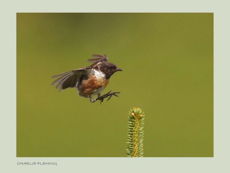 151970470.etvbRNYQ 151970470.etvbRNYQ