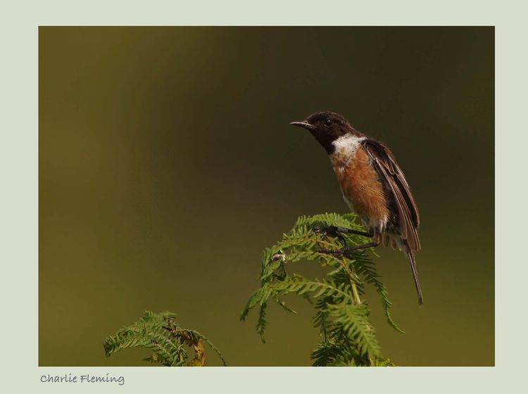 IMGP5914_edited-1 IMGP5914_edited-1