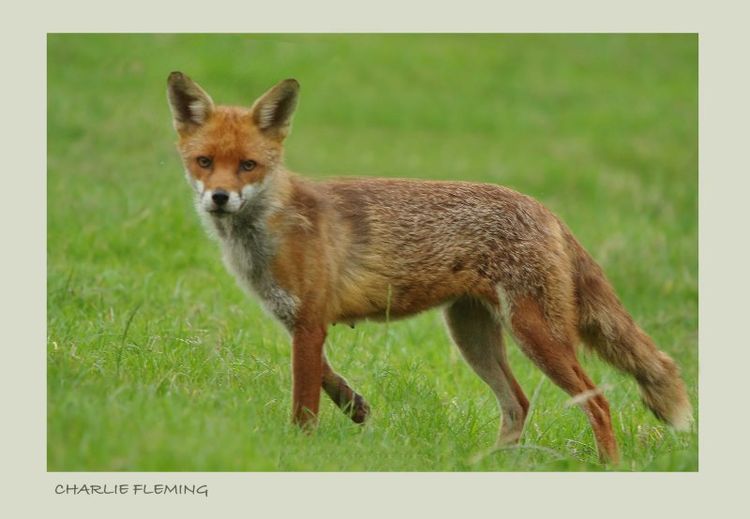 151814155.2quArMhl 151814155.2quArMhl