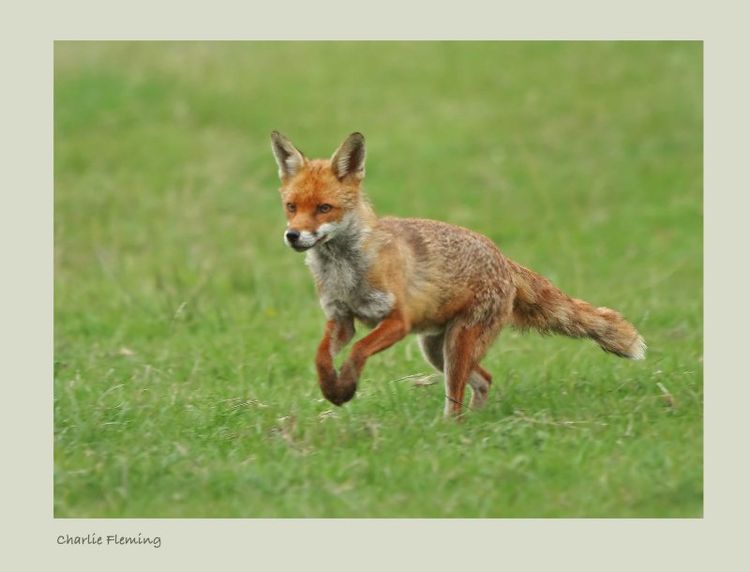 151814153.sufV8idj 151814153.sufV8idj