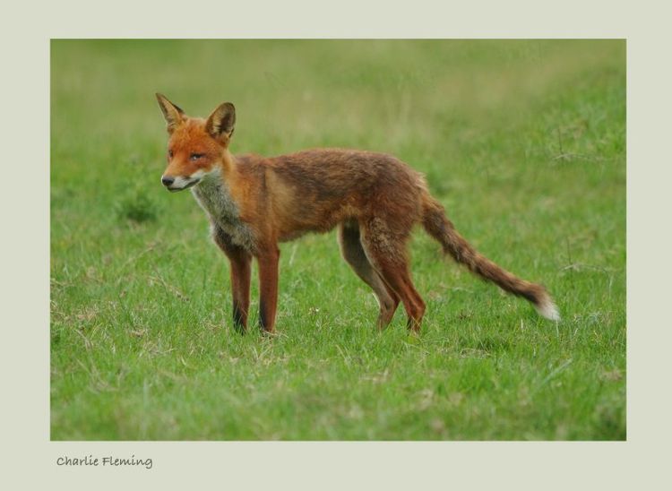 151814156.hzCpbi39 151814156.hzCpbi39