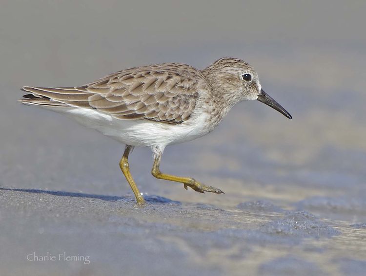 _IGP7450_edited-1 _IGP7450_edited-1