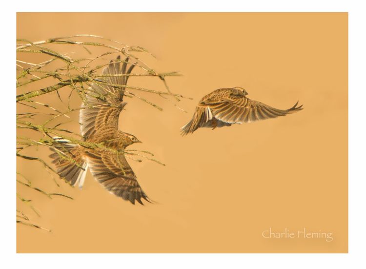 _IGP0404_edited-1 _IGP0404_edited-1