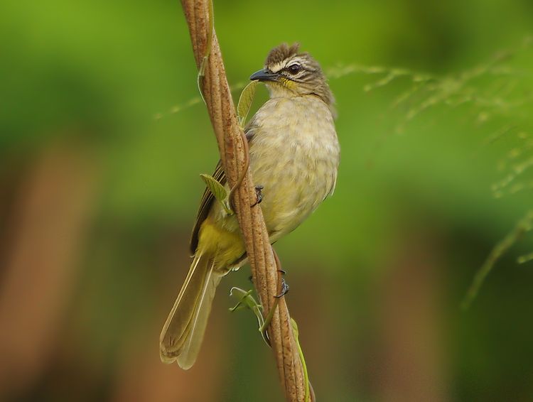 6a00e54ef87d408833017d3e0612e3970c-750wi