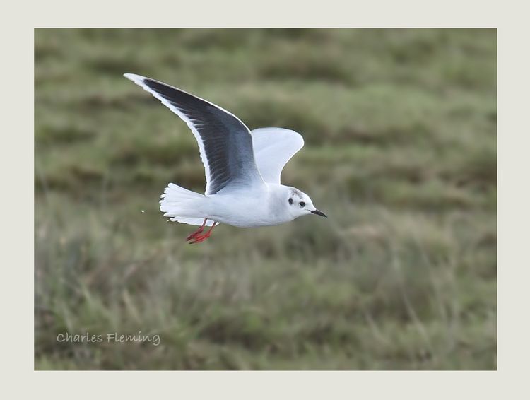 IMGP4487_edited-1 IMGP4487_edited-1