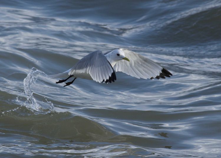 IMGP1373_edited-1 IMGP1373_edited-1