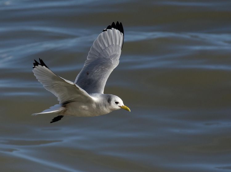 IMGP1142_edited-1 IMGP1142_edited-1