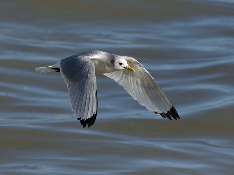 IMGP1140_edited-1 IMGP1140_edited-1