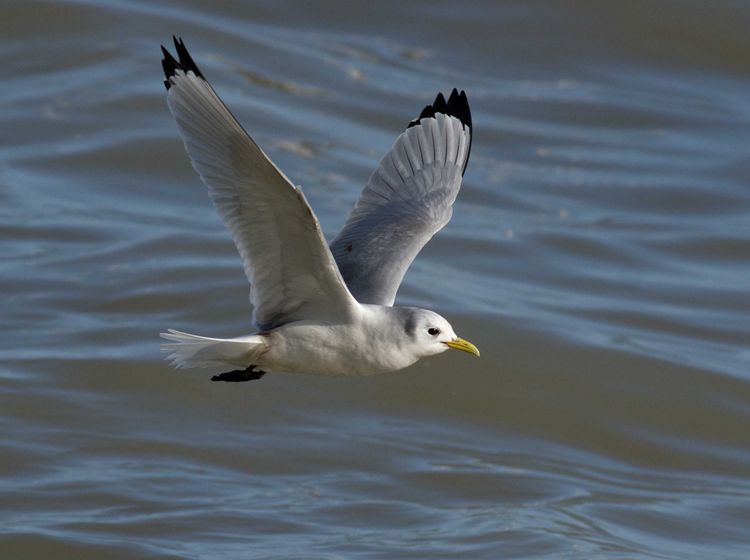 IMGP1138_edited-1 IMGP1138_edited-1