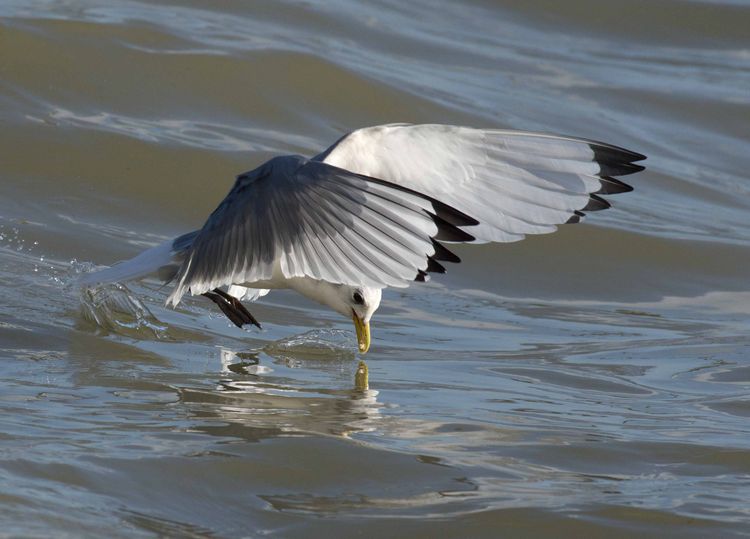 IMGP1114_edited-1 IMGP1114_edited-1