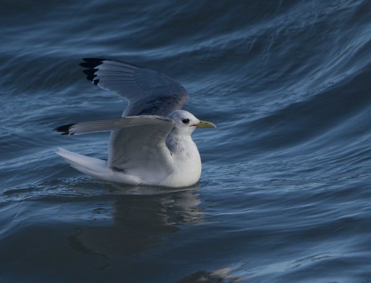 IMGP1552_edited-1 IMGP1552_edited-1