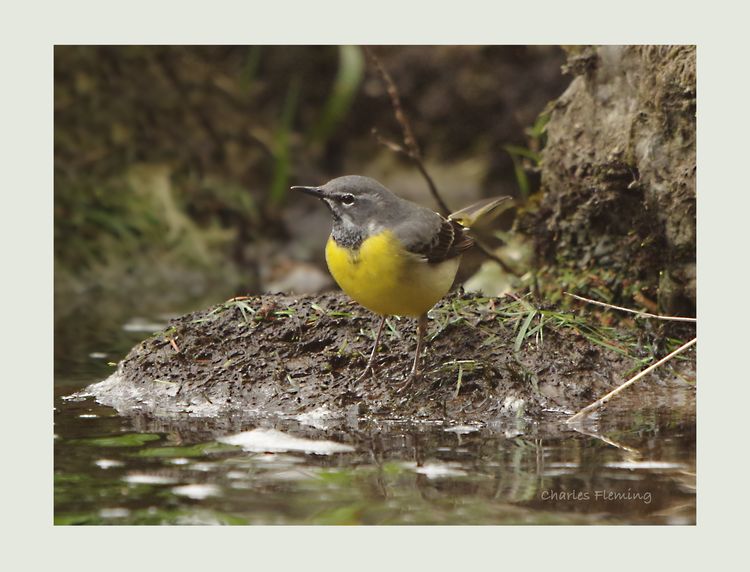 IMGP7912_edited-1 IMGP7912_edited-1