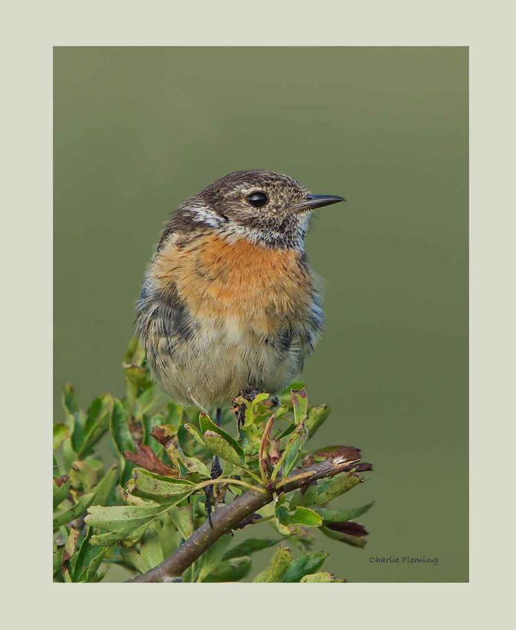 6a00e54ef87d4088330192acc1ae16970d-750wi 6a00e54ef87d4088330192acc1ae16970d-750wi