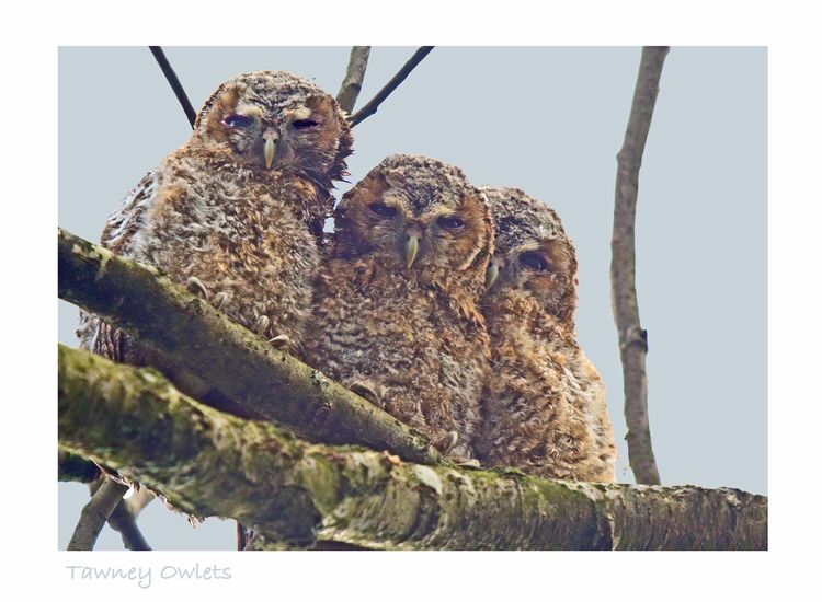 IMGP9692_edited-2 IMGP9692_edited-2