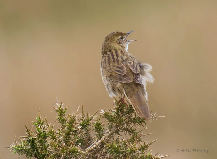 IMGP0849_edited-2 IMGP0849_edited-2