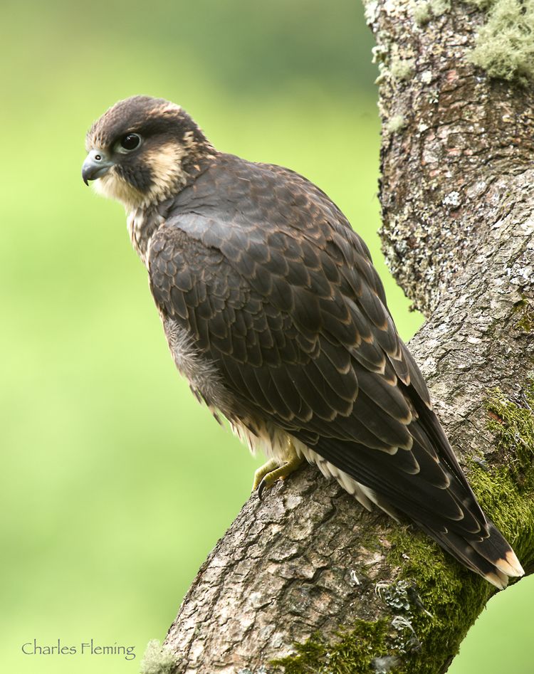 IMGP9283_edited-1 IMGP9283_edited-1