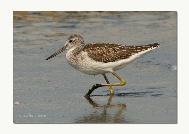 157277880.cX2DPUy9.IMGP2445