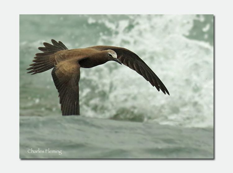 IMGP4306_edited-2 IMGP4306_edited-2