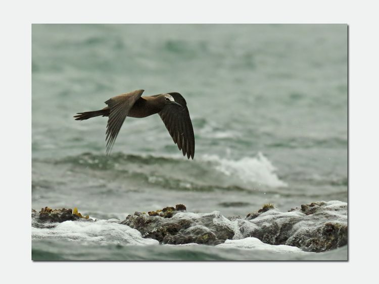 IMGP4303_edited-1 IMGP4303_edited-1