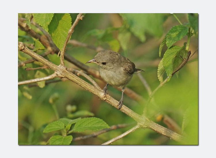 IMGP2274_edited-1 IMGP2274_edited-1