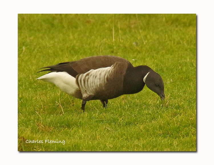 IMGP3334_edited-1 IMGP3334_edited-1