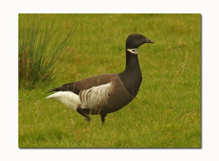 IMGP3321_edited-1 IMGP3321_edited-1