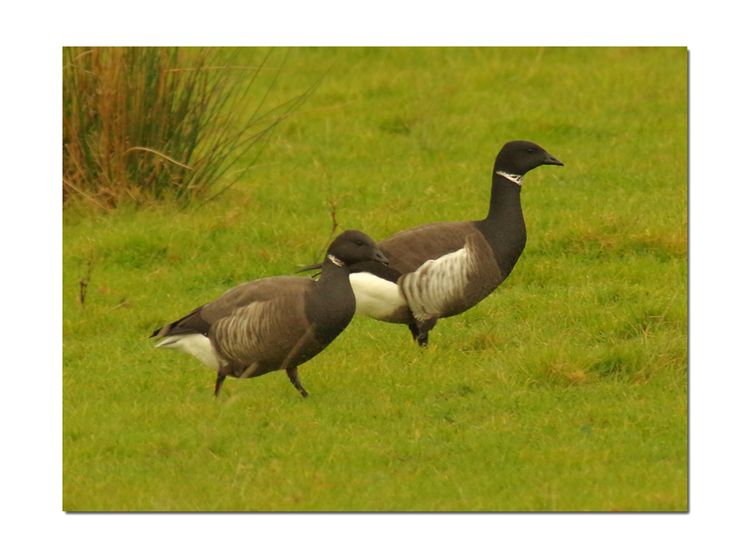 IMGP3332_edited-1 IMGP3332_edited-1