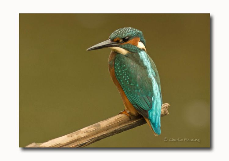 145460659.kk4FmcNq 145460659.kk4FmcNq