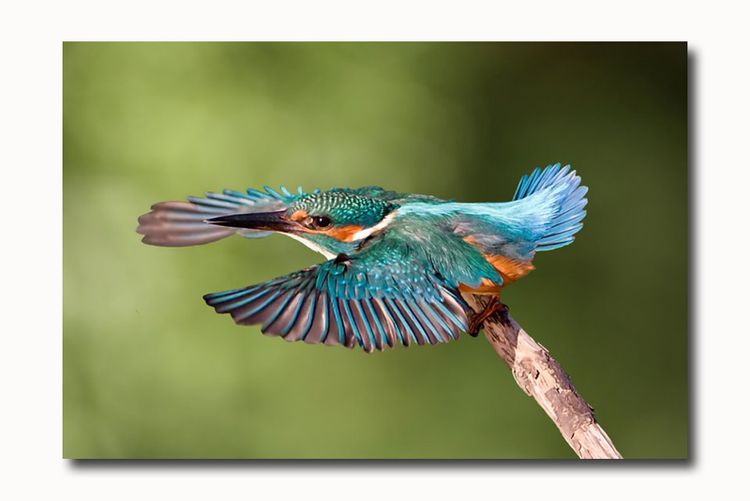 145654616.d4EnTyEm 145654616.d4EnTyEm