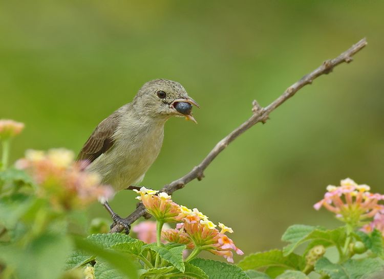 IMGP7217_edited-1 IMGP7217_edited-1