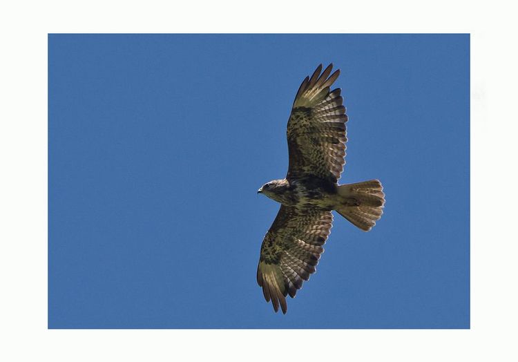 148567399.eCbTOD86.6a00e54ef8_c750wi 148567399.eCbTOD86.6a00e54ef8_c750wi