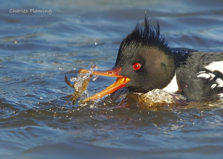 IMGP1283 copy_edited-1