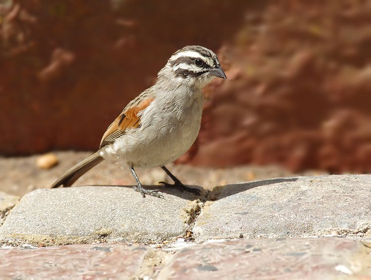 IMGP9754aaaaa IMGP9754aaaaa