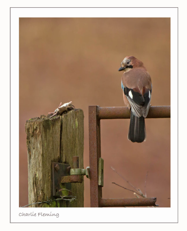 148048164.dn8IXK88 148048164.dn8IXK88