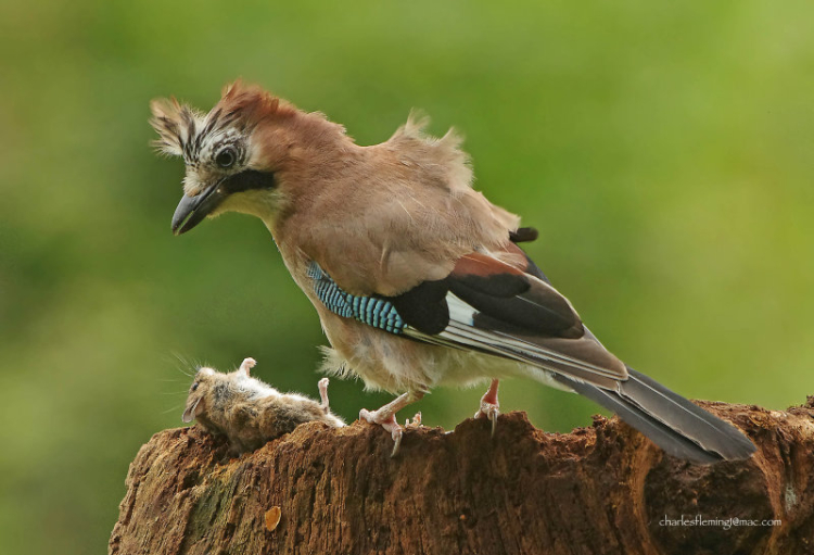 144811218.iKTffLSc 144811218.iKTffLSc