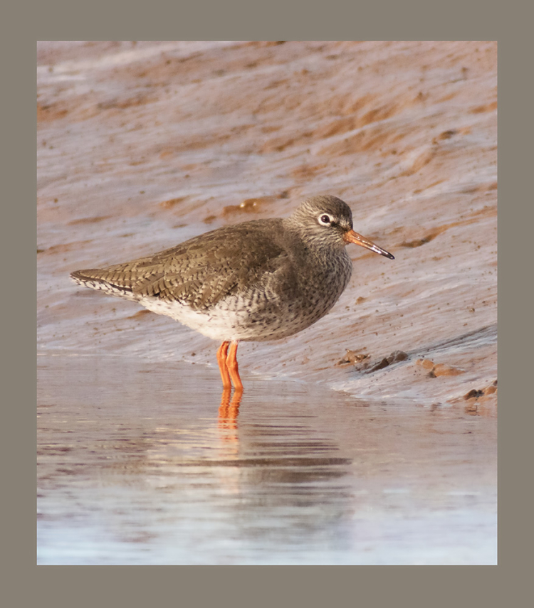 P1160662ab P1160662ab