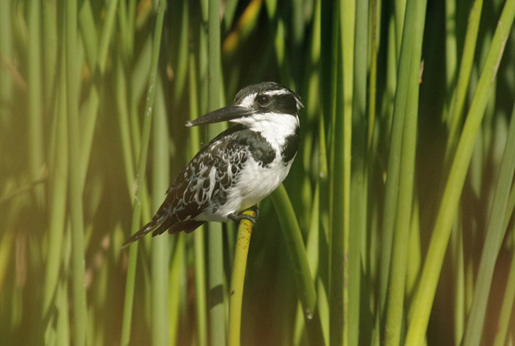 161268272.d0BMZTfz.IMGP79542