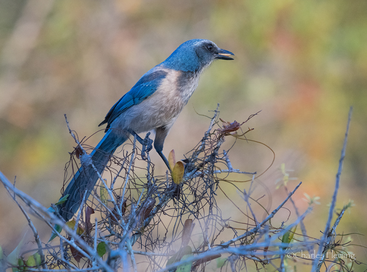 IMGP3469-2abc IMGP3469-2abc