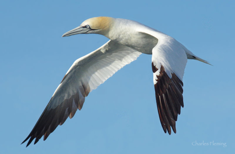 161221684.swDUF1mA.161221684.TYttrqVw 161221684.swDUF1mA.161221684.TYttrqVw