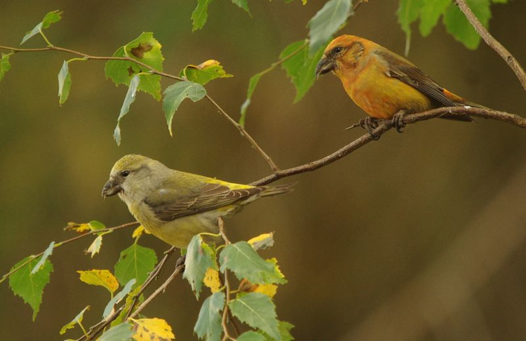 6a00e54ef87d40883301bb087c31d8970d-750wi 6a00e54ef87d40883301bb087c31d8970d-750wi