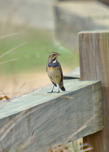 145200676.FoguxQB8.2972824408_4f23a632ce 145200676.FoguxQB8.2972824408_4f23a632ce