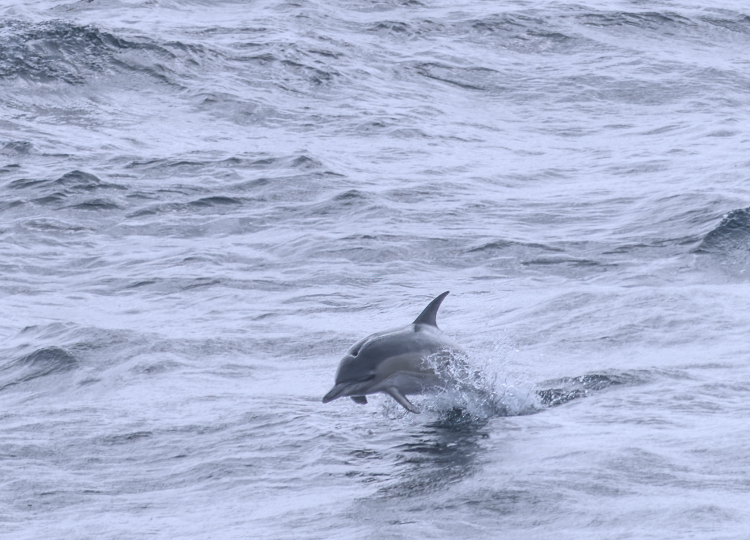 P8092247-ORF-20240809-DxO_DeepPRIME copy P8092247-ORF-20240809-DxO_DeepPRIME copy